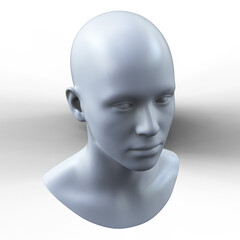 Human Head.  Transparent background. 3D Rendering.