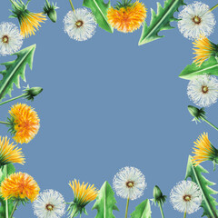 Watercolor frame of dandelions flowers and green leaves. Hand painting clipart botanical meadow illustration on a white isolated background. For designers, decoration, postcards, wrapping paper