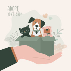 Adopt friend, don't shop - cute dogs and cat sitting in box. Pet adoptation. Animal care, adoption. Help homeless animals find home concept. Volunteer hand holds lonely pets
