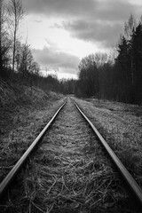 Fototapeta premium Old and abandoned railway tracks in the forest