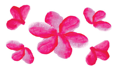 Pink flowers on a white background, Watercolor floral illustration set. Flowers elements collection