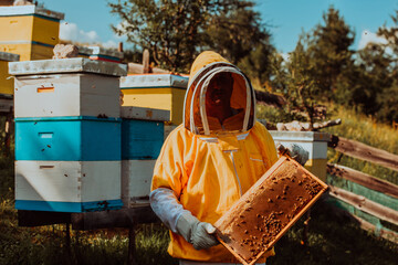 Beekeeper checking honey on the beehive frame in the field. Small business owner on apiary. Natural healthy food produceris working with bees and beehives on the apiary.