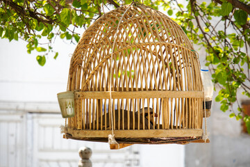 a bird in a straw cage on a tree