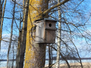 A birdhouse in a tree. Spring work waiting for the birds. Hatching time for bird eggs