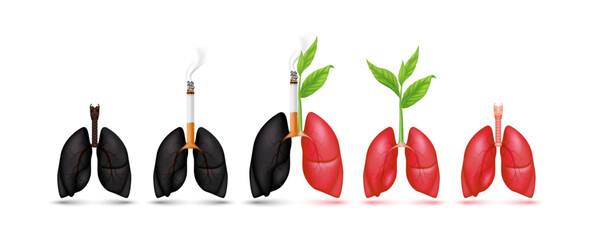 Tobacco on lungs black and Seedling with leaf green on lung red. Dangers of smoking effect people around and family. Icon 3d isolate on white background. Vector Illustration. World No Tobacco Day. 