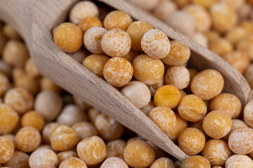 Dry hard yellow peas for cooking porridge