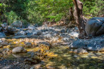 Creek at Samaria gorge at Greek island Crete