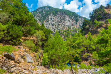 Samaria gorge at Greek island Crete