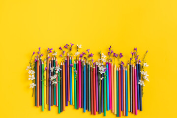 Colour pencils with flowers. International children’s day concept. copy space for text.	