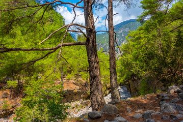 Samaria gorge at Greek island Crete