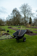 Wheelbarrow in garden