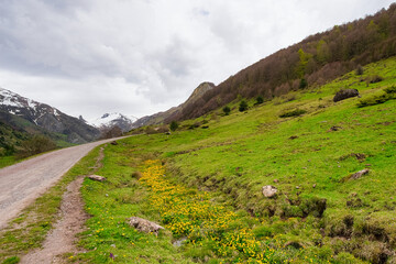 Fototapeta premium Camins del GR11