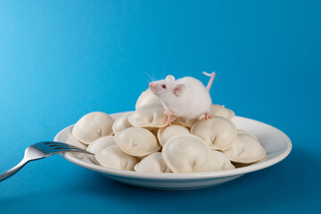 Fototapeta na wymiar White laboratory mouse with red eyes sits in a plate of dumplings. Funny pictures of a cute little mouse in the studio on a blue background. The rodent sits on dumplings in white plate.