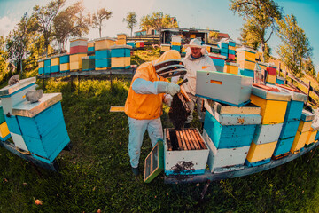 Fototapeta na wymiar Beekeepers checking honey on the beehive frame in the field. Small business owners on apiary. Natural healthy food produceris working with bees and beehives on the apiary.