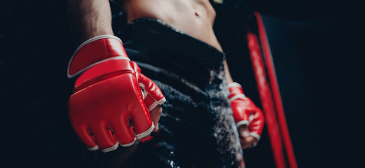 Sport MMA banner. Boxers fighter in ring octagon, dark background spot light