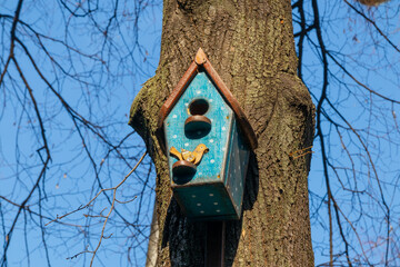 Decorative birdhouse on a tree