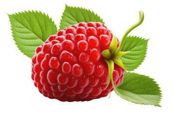 Raspberry on Isolated Tansparent Background, png. Generative AI