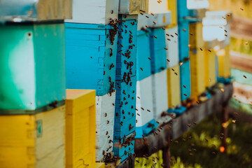 Close up photo of bees hovering around the hive carrying pollen