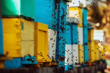 Close up photo of bees hovering around the hive carrying pollen