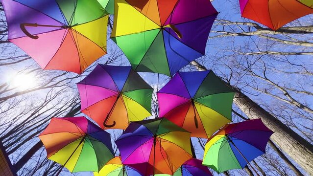 Colorful umbrellas hanging. Forest path with umbrellas in the sky. Summer decoration and sun protection.