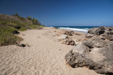 Beach and Rocks