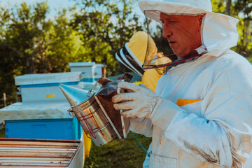 Beekeepers check the honey on the hive frame in the field. Beekeepers check honey quality and honey parasites. A beekeeper works with bees and beehives in an apiary.