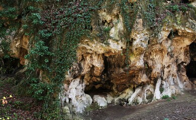 Cave rock covered with greenery, rock with holes