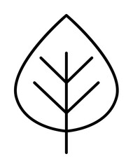 leaf icon. Element of autumn icon for mobile concept and web apps. Thin line leaf icon can be used for web and mobile