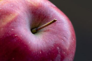 The Fully Close-up Of The Red Fresh Apple. Side View. Selective Focus. Macro. Concept Background.