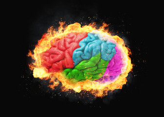 Burning brain with fire, sparks and smoke. Brain explosion, creative idea. Think and Brainstorm....