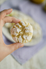 Delicious citrusy lemony snack, crunchy cracked lemon crinkle cookies coated with powdered sugar on white plate close up selective focus 