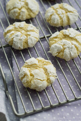 Delicious citrusy lemony snack, crunchy cracked lemon crinkle cookies coated with powdered sugar on white plate close up selective focus 