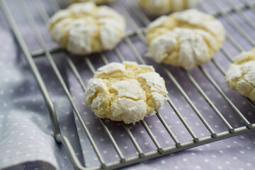 Delicious citrusy lemony snack, crunchy cracked lemon crinkle cookies coated with powdered sugar on white plate close up selective focus 