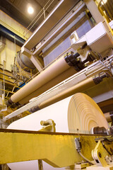 Big rolls of paper coming out of the machinery in a paper mill plant.