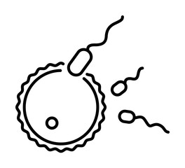 Fertilization icon. Element of maternity culture. Thin icon for website design and development, app development. Premium icon