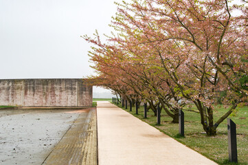 Museum architecture by Tadao Ando