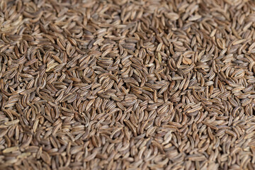 a large number of cumin seeds that are used as spices in cooking
