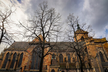 vue panoramique église cathédrale cachée derrière des arbres