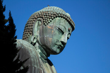 Great Buddha of Kotoku-in Temple in Kamakura Kanagawa Japan