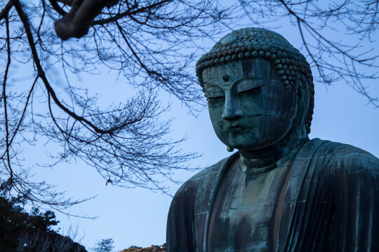 Great Buddha of Kotoku-in Temple in Kamakura Kanagawa Japan