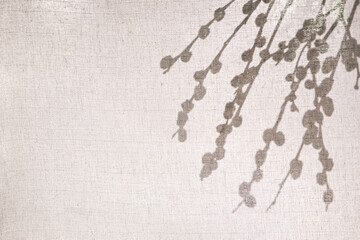 Spring and easter background. Silhouette of willow branches with catkins behind a light cotton fabric. Branch shadows on beige fabric background, minimalism, early spring concept, copy space.