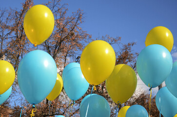 Colored balloons against the blue sky. blue and yellow balloons