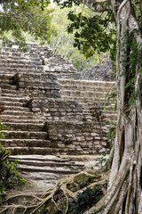 Fototapeta premium Detail shot of The Mayan pyramid of Chacchoben in Costa Maya on the Yucatan Peninsula of Mexico