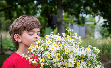 A little boy sniffs fresh flowers