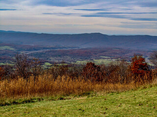 Fototapeta premium Late Afternoon in Shenandoah National Park, Virginia USA, Virginia