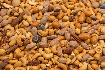 A group of almonds, pistachios, walnuts, macadamia, cashews.