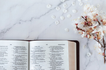 Open holy bible book and beautiful spring tree branch with flowers and petals on white marble...