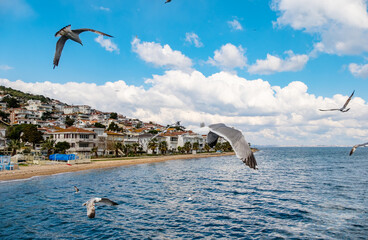 Princes' Island Buyukada is the largest resort island in Marmara Sea, Istanbul