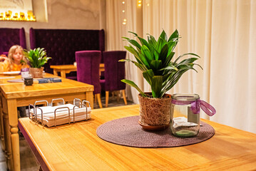 modern stylish interior with purple armchairs and wooden tables in green color. Horizontal