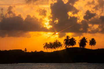 Fototapeta premium sunset on the beach